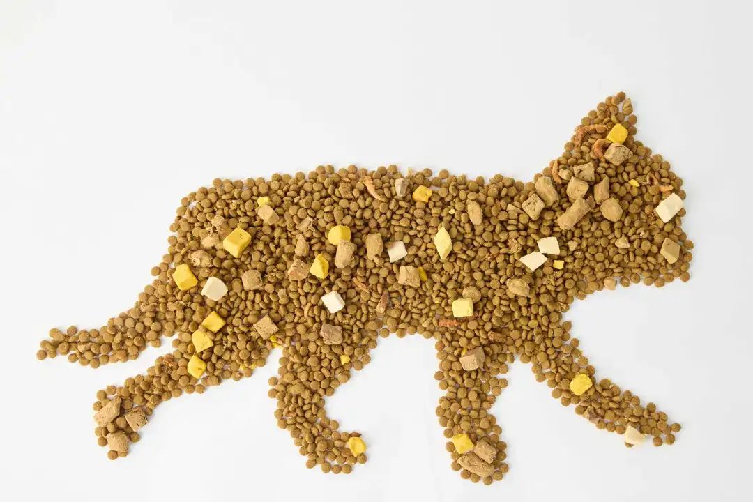 1752223235455094.jpg 006.jpg