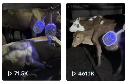 1753353747478125.png 041.png